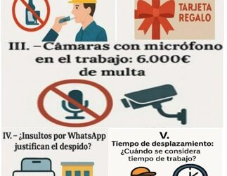 Reseña Jurisprudencial